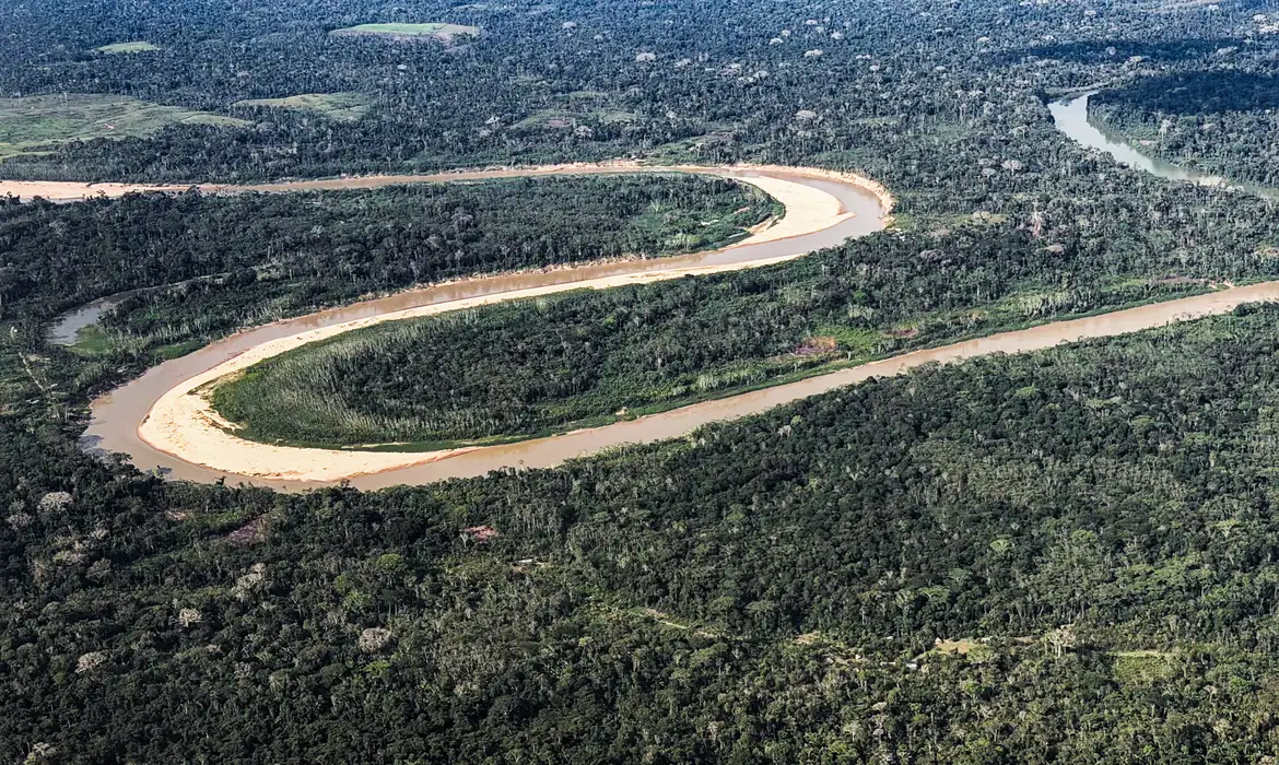 Países Baixos anunciam US$500 mi em fundo florestal criado pelo Brasil