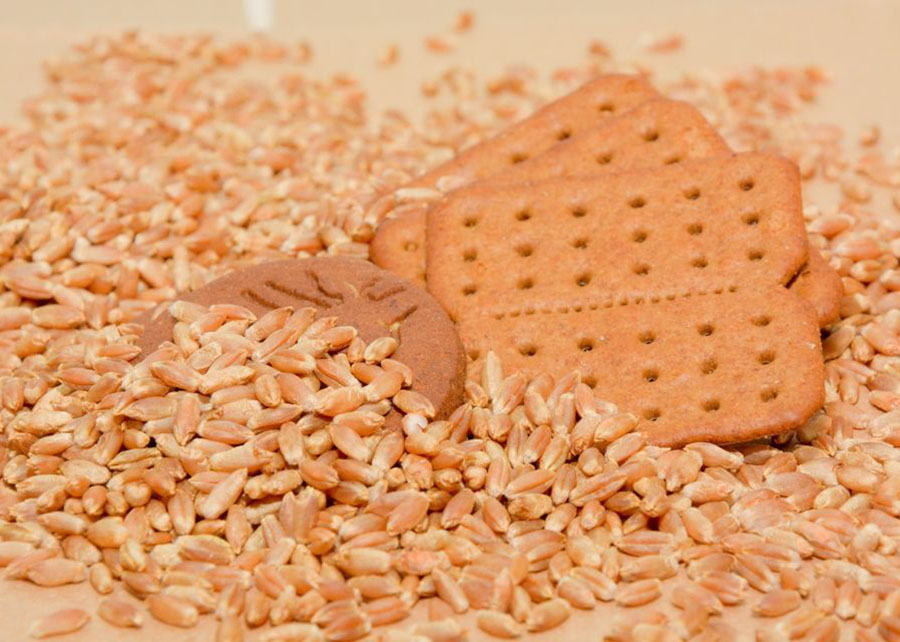 Cultivo do triticale no Cerrado amplia oportunidades para a indústria de alimentos
